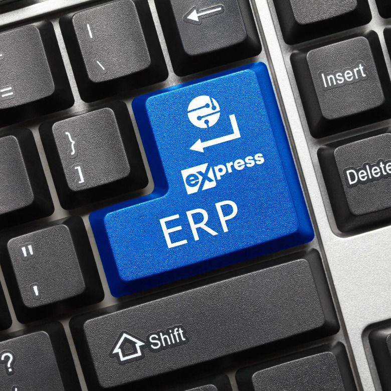 ERP na WEB 1 erp web prodel