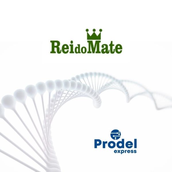 rei-do-mate-prodel-express rei do mate prodel express